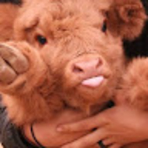 Meet your Posher, Sara - Picture 1 of 2